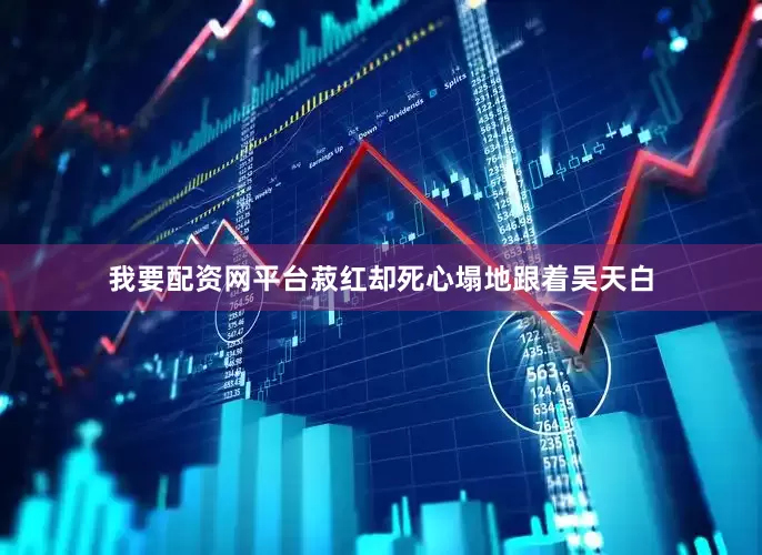 我要配资网平台菽红却死心塌地跟着吴天白