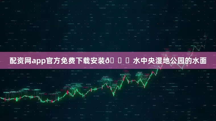配资网app官方免费下载安装🌅水中央湿地公园的水面