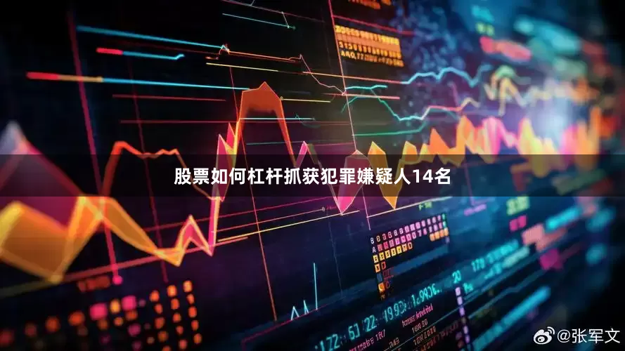 股票如何杠杆抓获犯罪嫌疑人14名