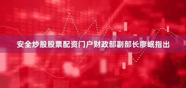 安全炒股股票配资门户财政部副部长廖岷指出