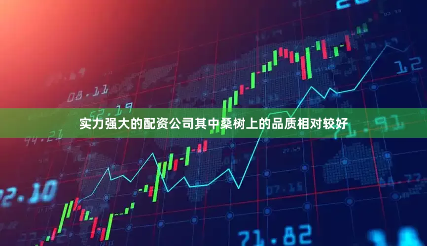 实力强大的配资公司其中桑树上的品质相对较好